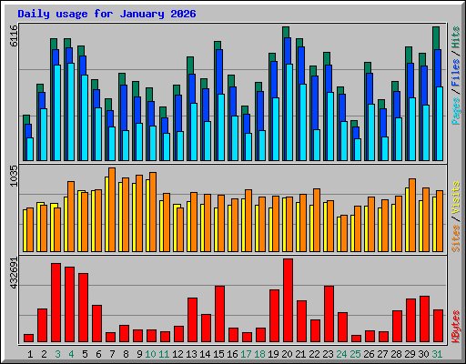 Daily usage for January 2026