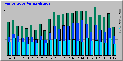 Hourly usage for March 2025