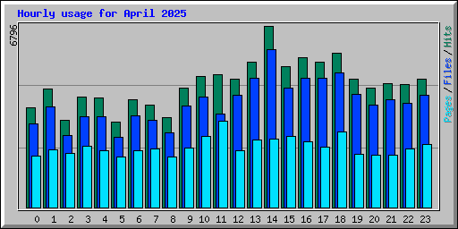 Hourly usage for April 2025