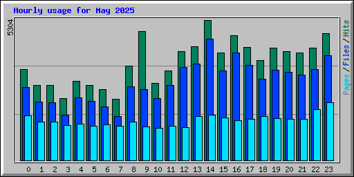 Hourly usage for May 2025