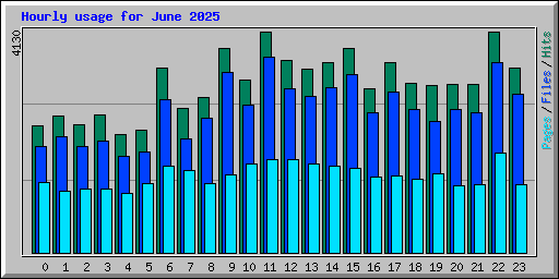 Hourly usage for June 2025
