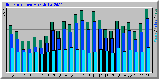 Hourly usage for July 2025