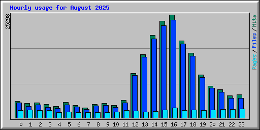 Hourly usage for August 2025