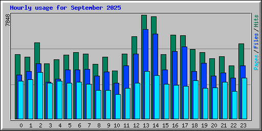 Hourly usage for September 2025