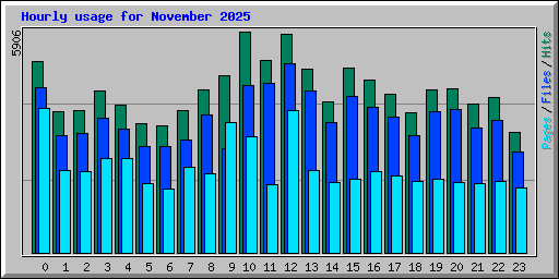 Hourly usage for November 2025