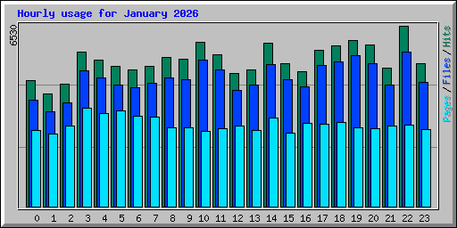 Hourly usage for January 2026
