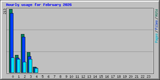 Hourly usage for February 2026