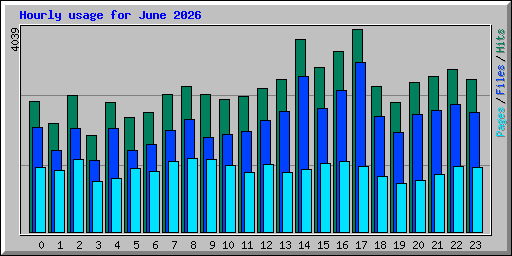 Hourly usage for June 2026