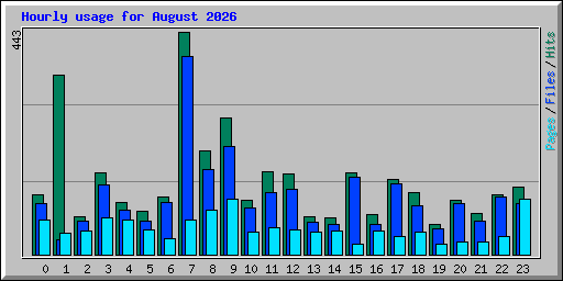 Hourly usage for August 2026
